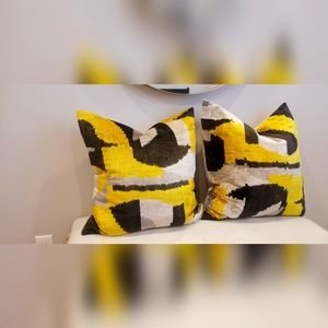 Crate and Barrel 23x23 down pillows (2)